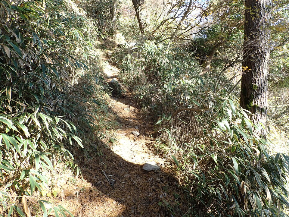 PC019137_mid.jpg