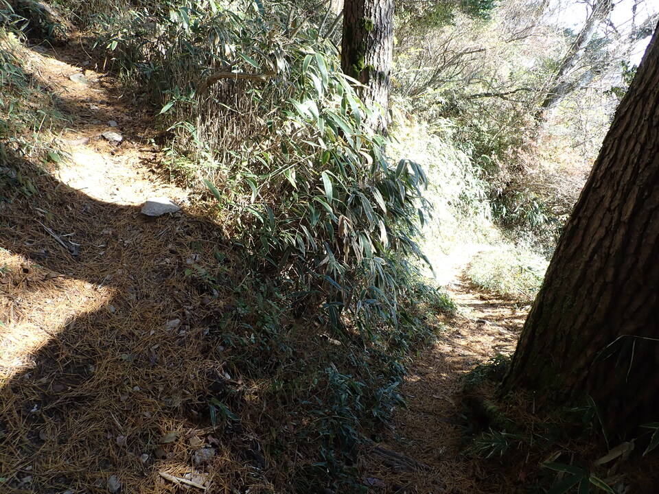 PC019139_mid.jpg