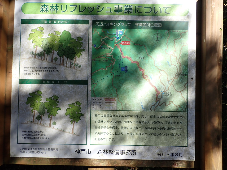 PC019142_mid.jpg