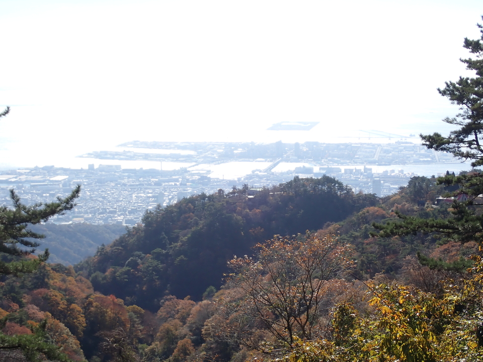 PC019146_mid.jpg