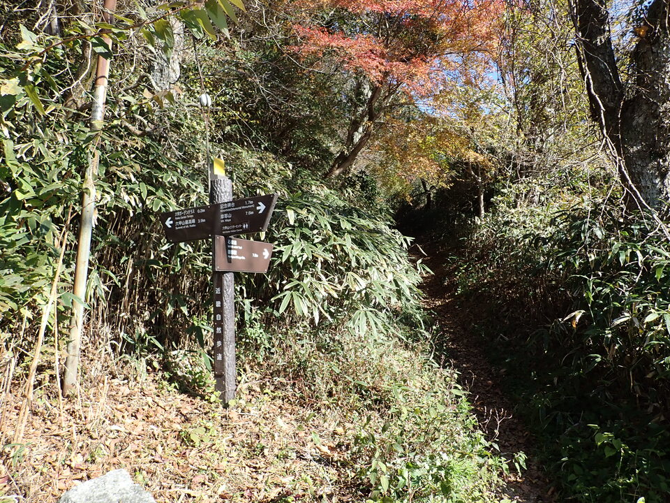 PC019152_mid.jpg