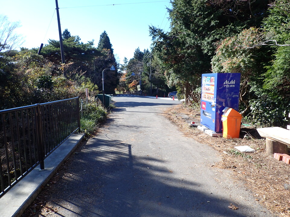 PC019155_mid.jpg