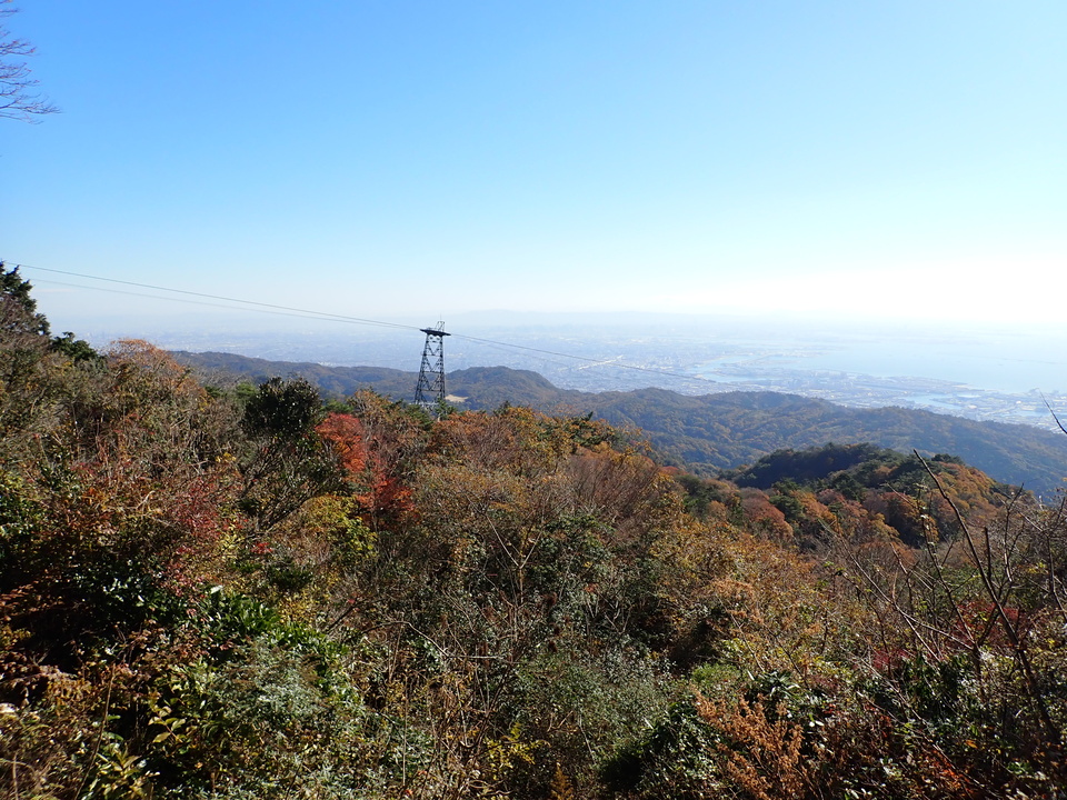 PC019156_mid.jpg