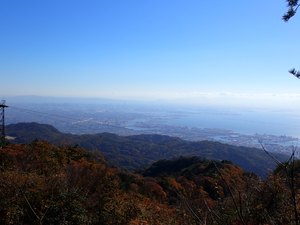 PC019157_mid.jpg