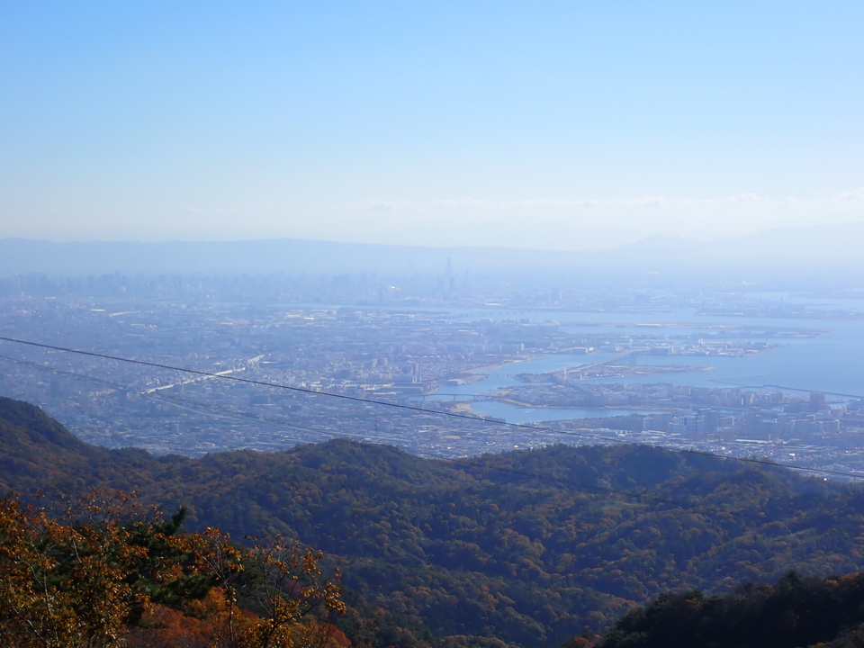 PC019159_mid.jpg