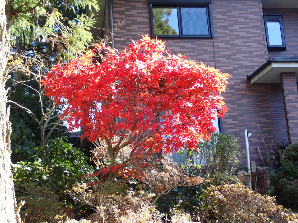 PC019164_mid.jpg