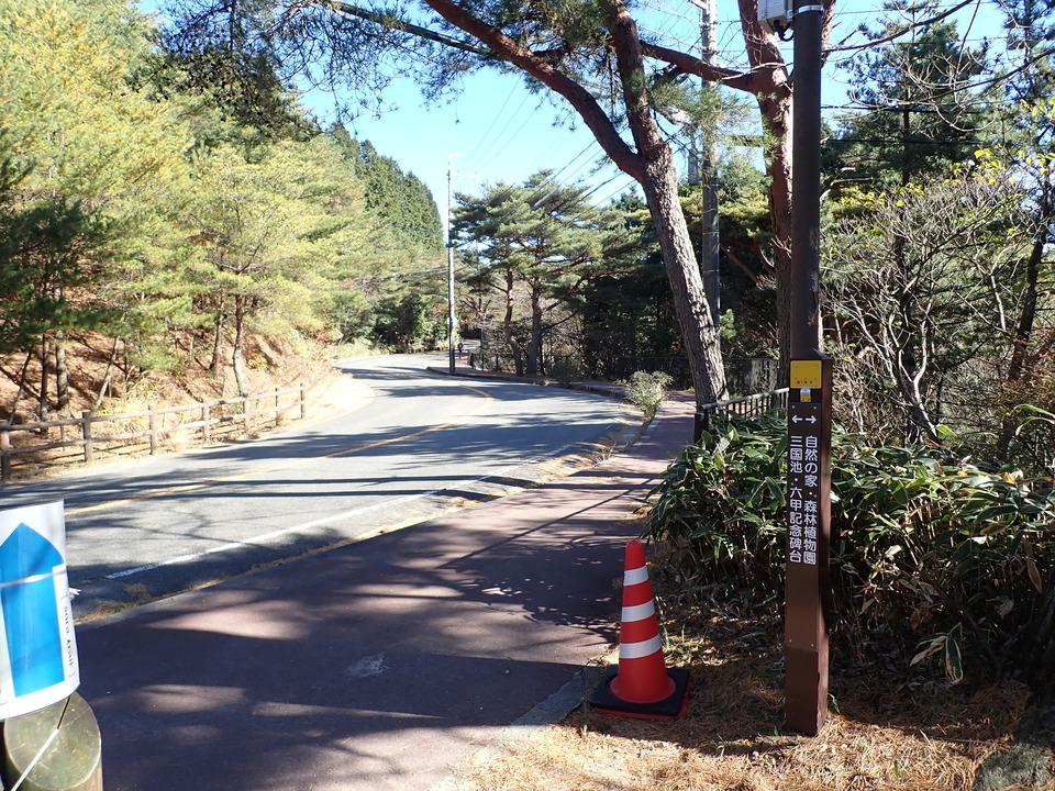PC019171_mid.jpg