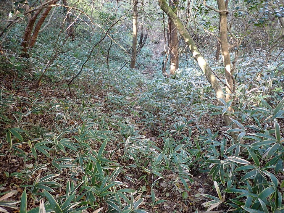 PC019174_mid.jpg