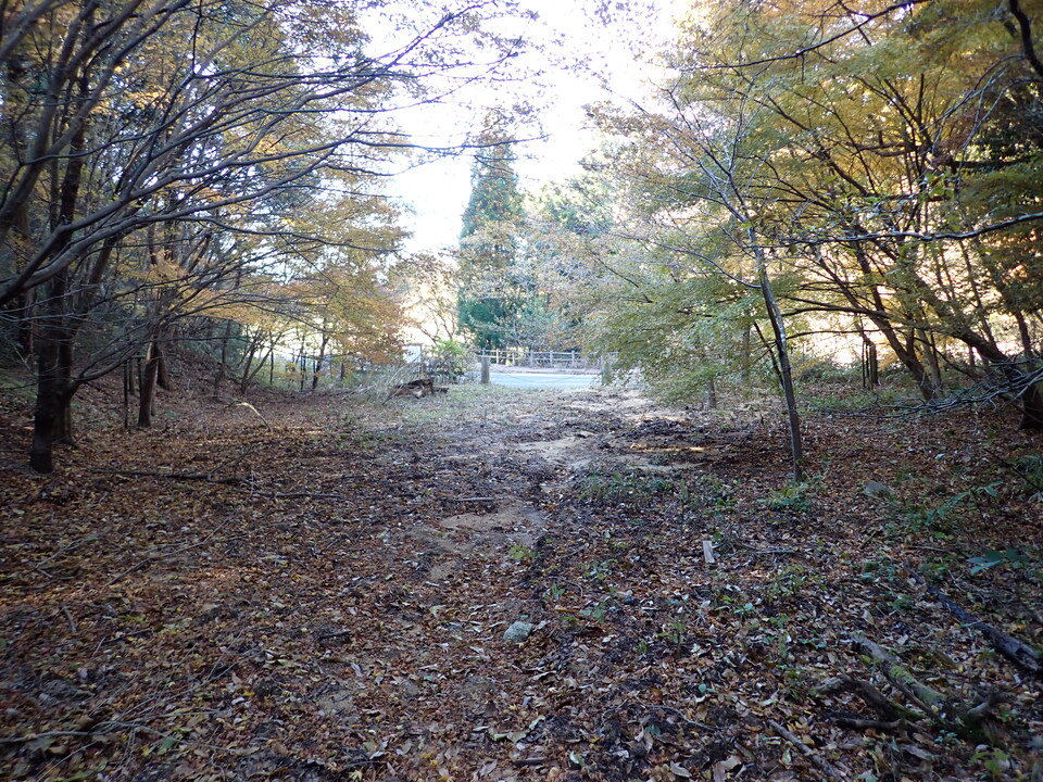 PC019177_mid.jpg