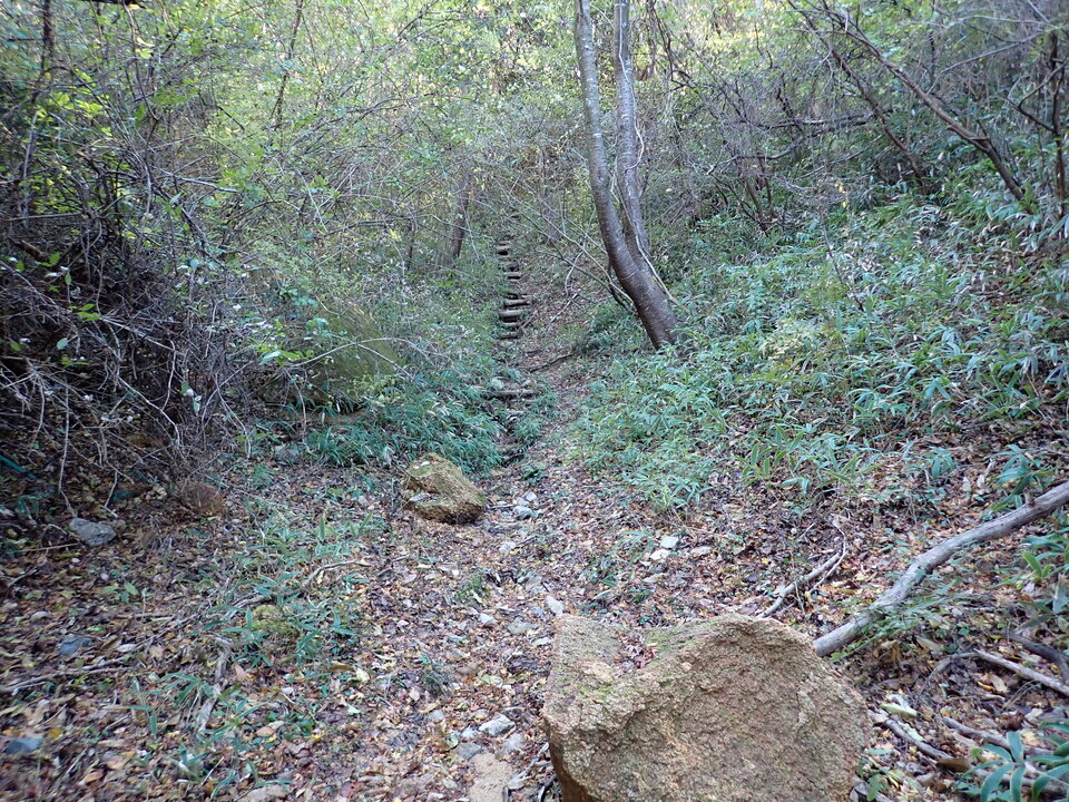 PC019179_mid.jpg