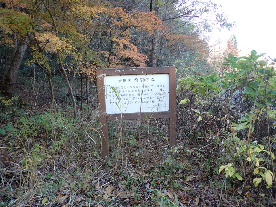 PC019180_mid.jpg