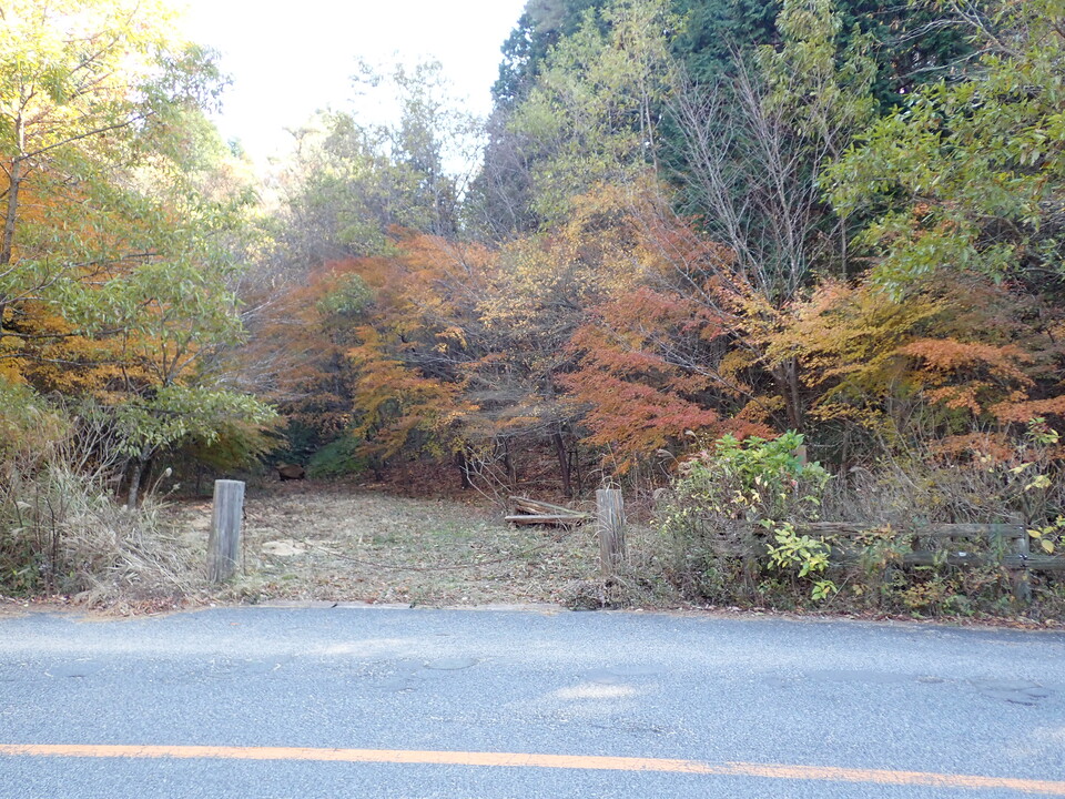 PC019184_mid.jpg