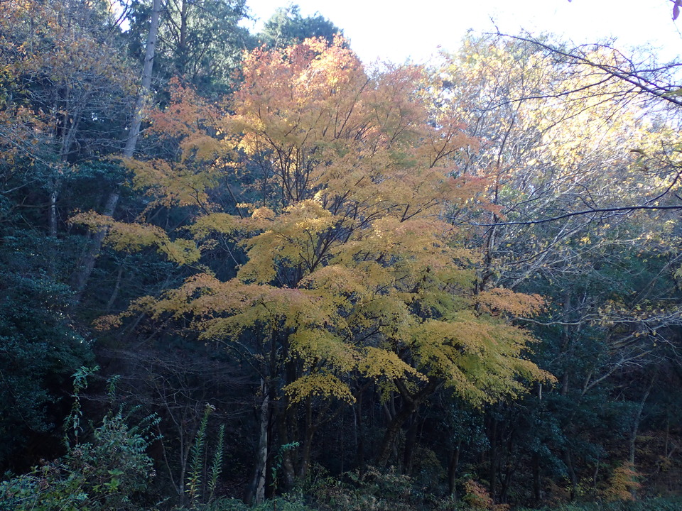 PC019188_mid.jpg