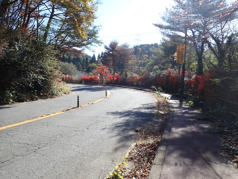 PC019198_mid.jpg