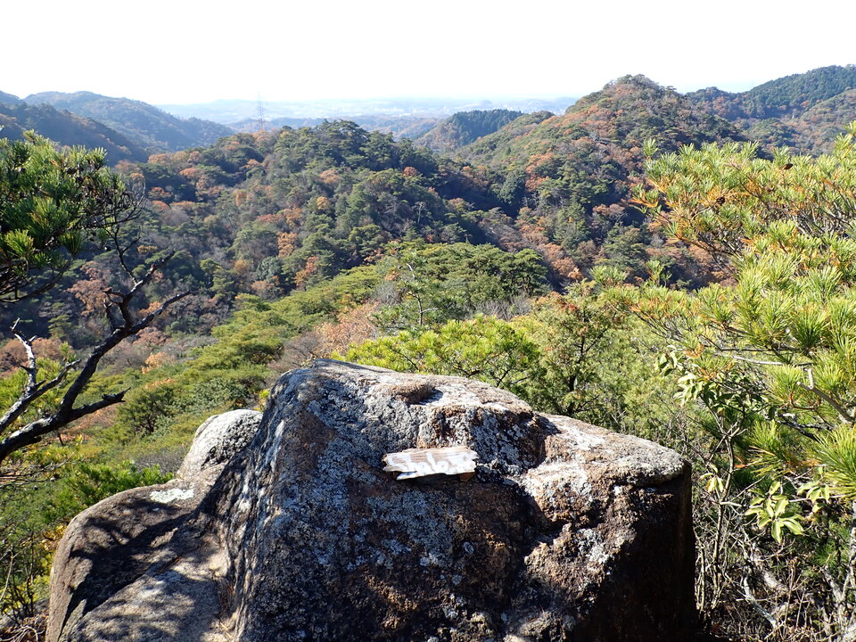 PC019221_mid.jpg