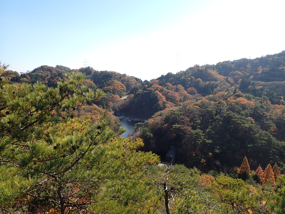 PC019224_mid.jpg