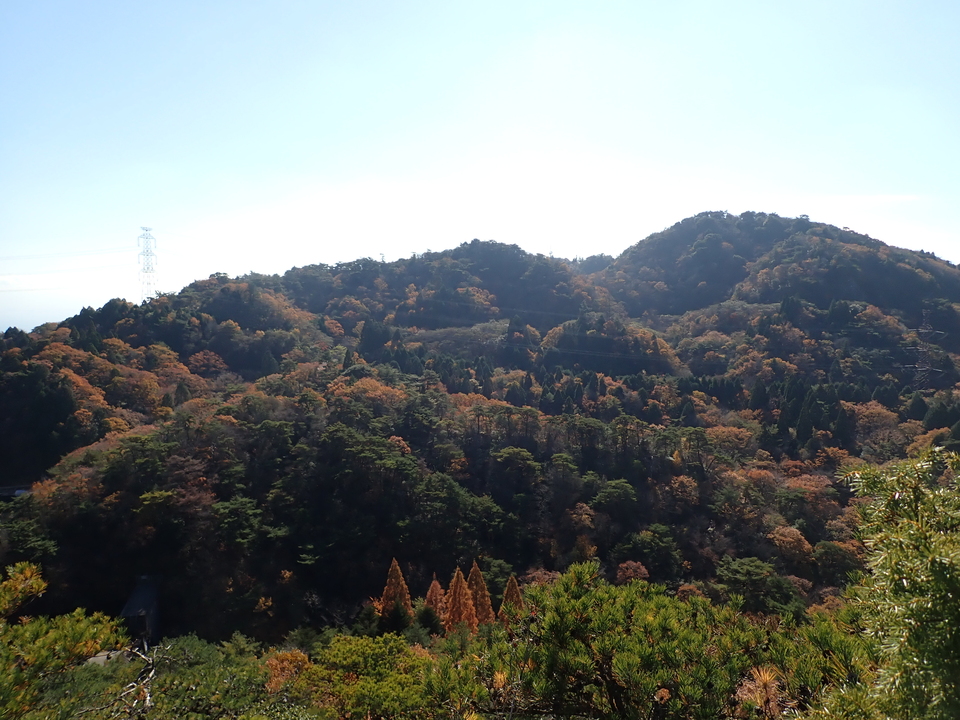 PC019225_mid.jpg