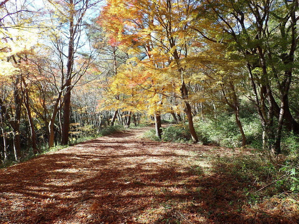 PC019239_mid.jpg