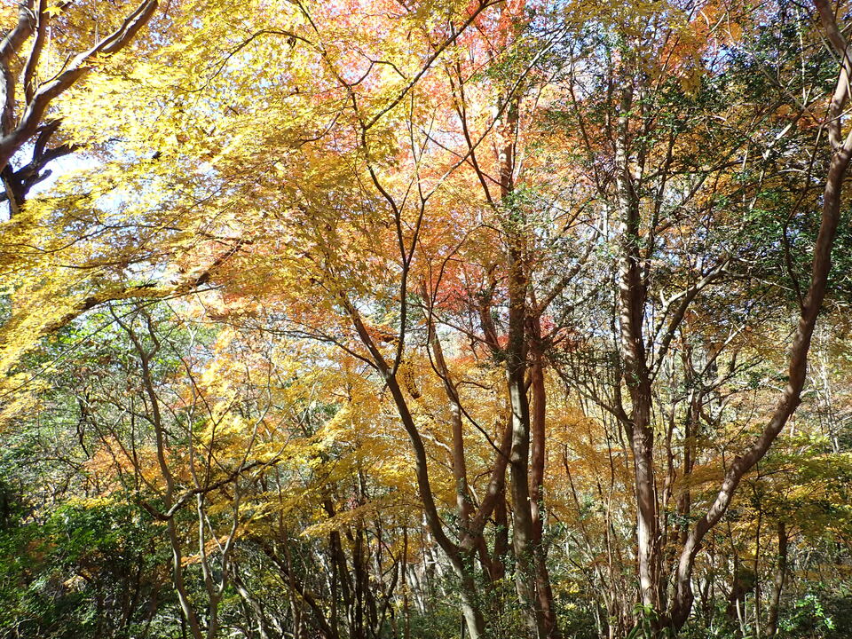 PC019242_mid.jpg