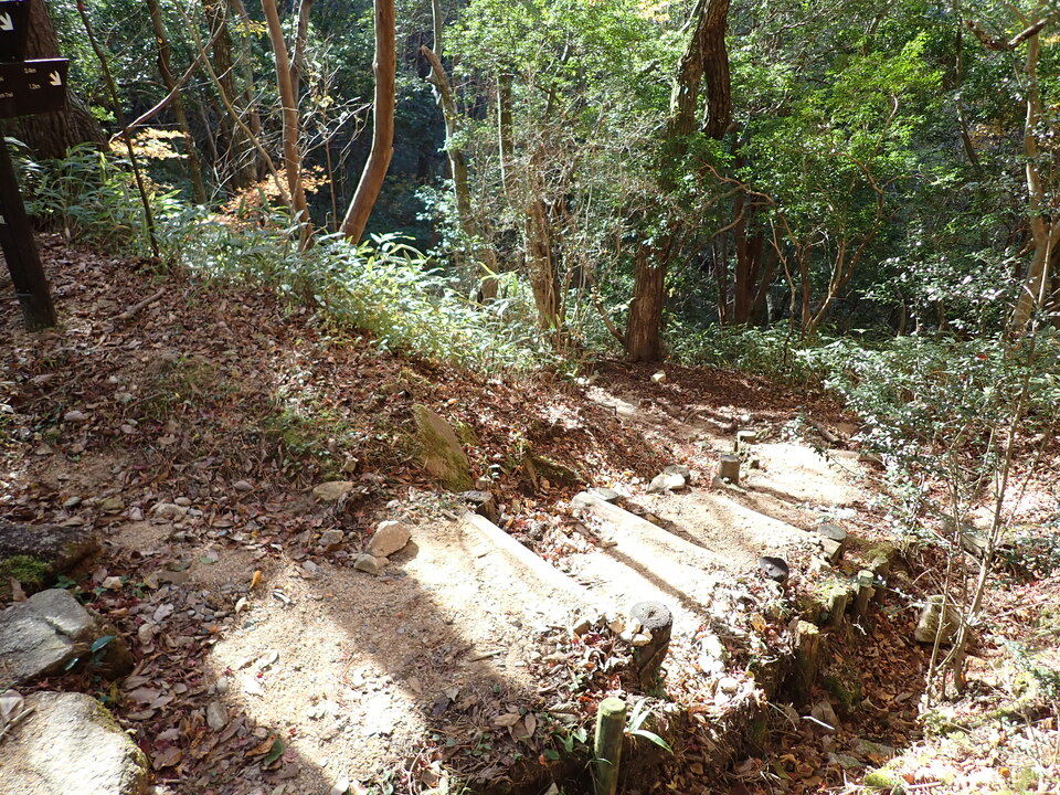 PC019245_mid.jpg