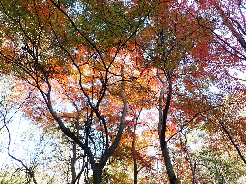 PC019247_mid.jpg