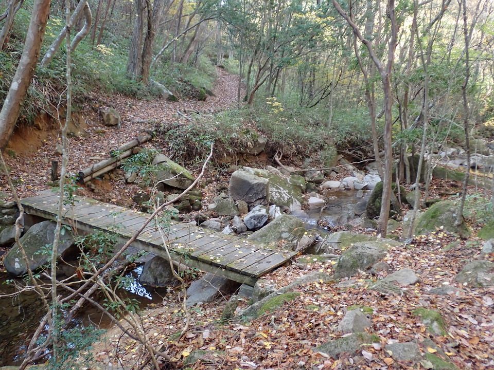 PC019250_mid.jpg