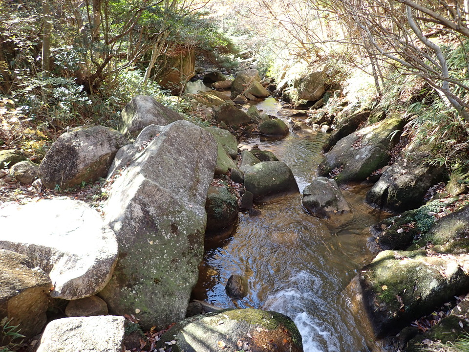 PC019252_mid.jpg