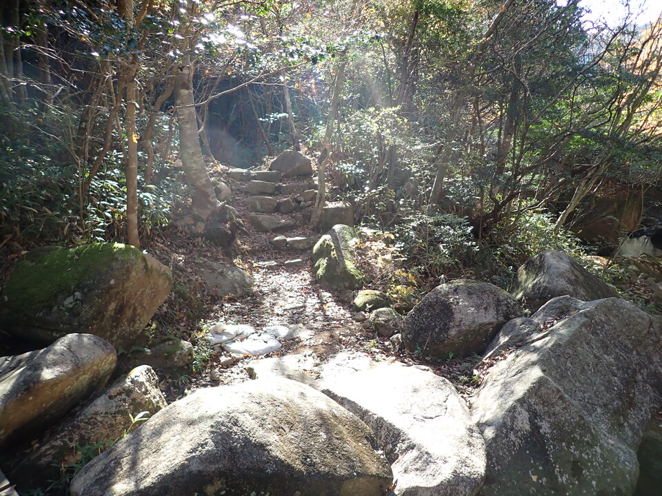 PC019253_mid.jpg