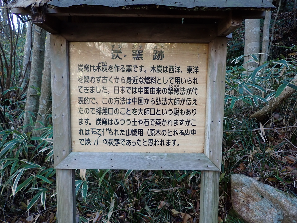 PC019256_mid.jpg