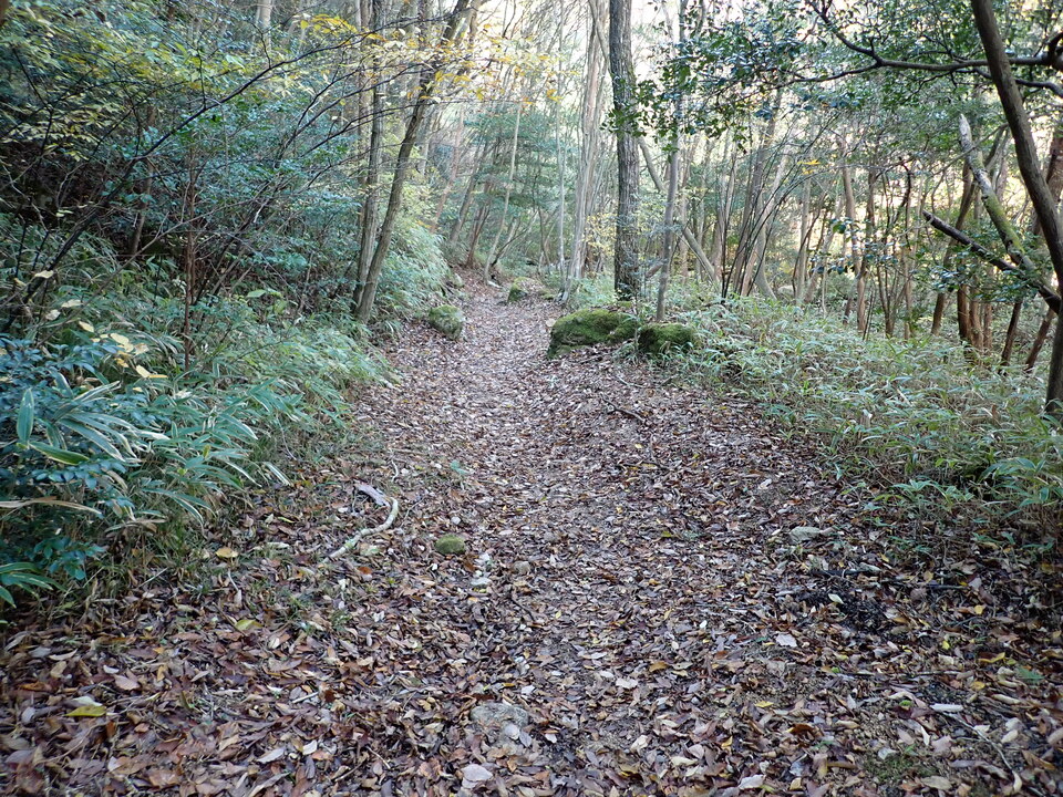 PC019258_mid.jpg