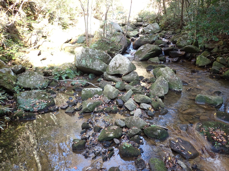 PC019260_mid.jpg