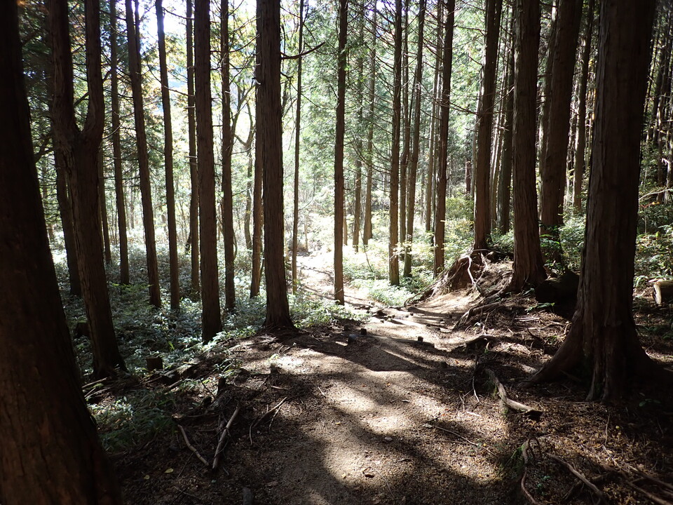 PC019264_mid.jpg