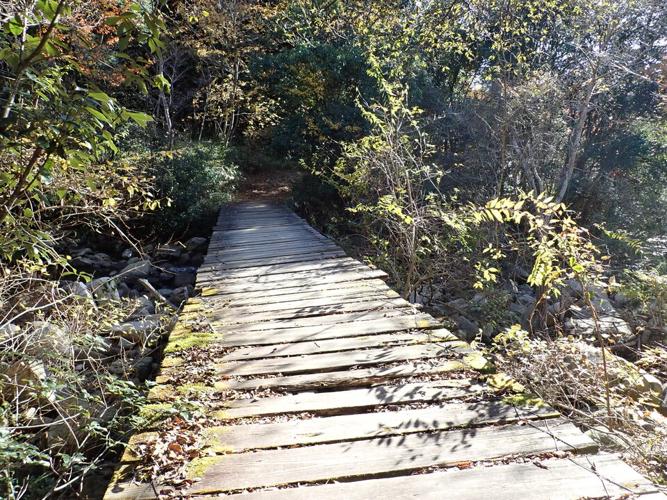 PC019272_mid.jpg