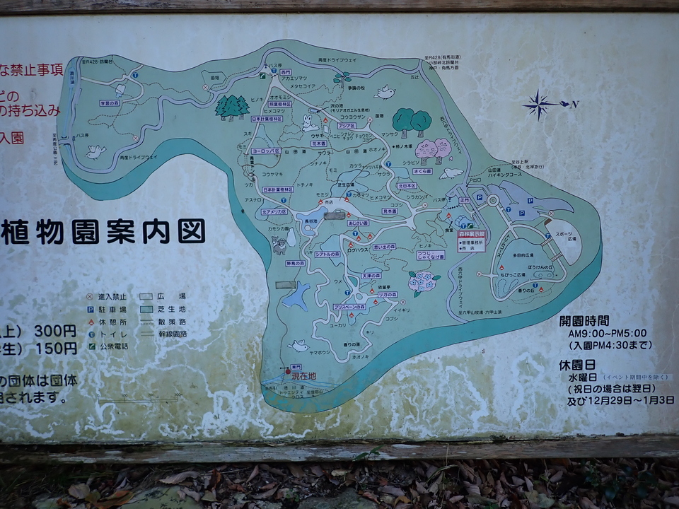 PC019274_mid.jpg