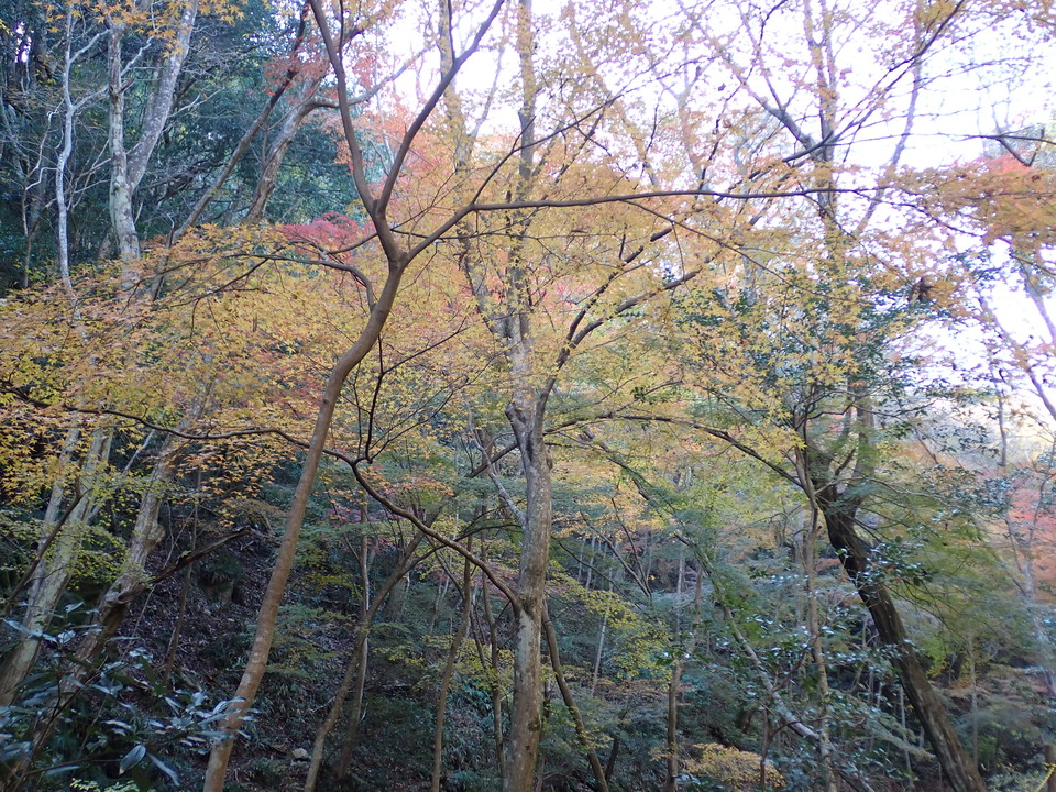 PC019276_mid.jpg