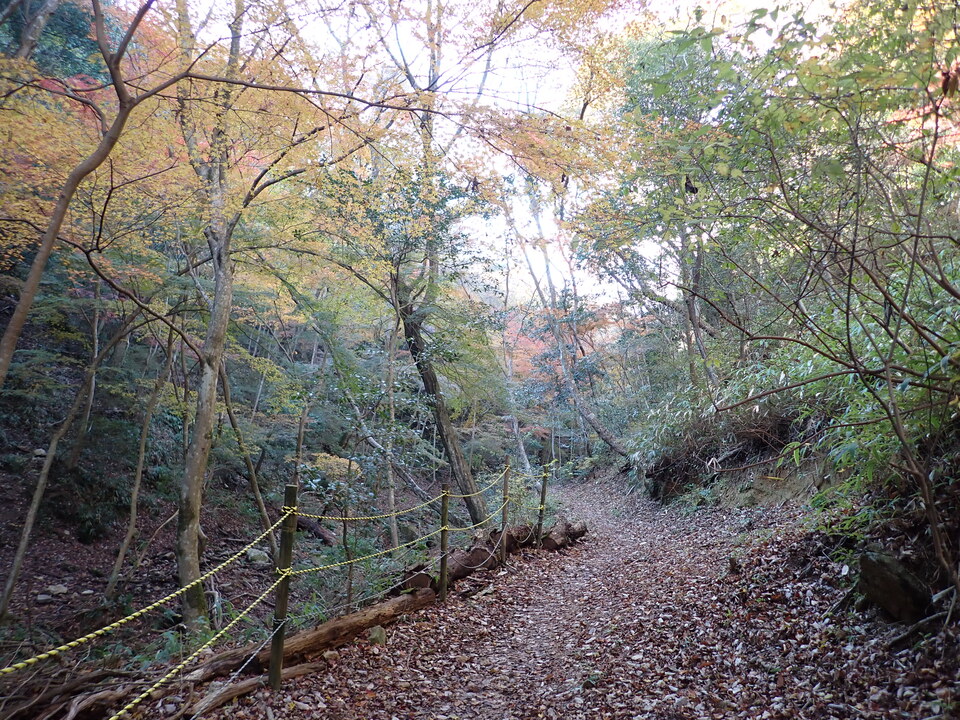 PC019279_mid.jpg