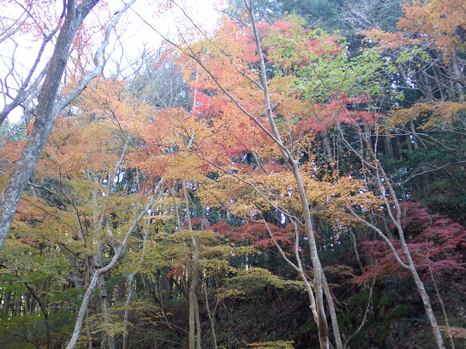 PC019283_mid.jpg