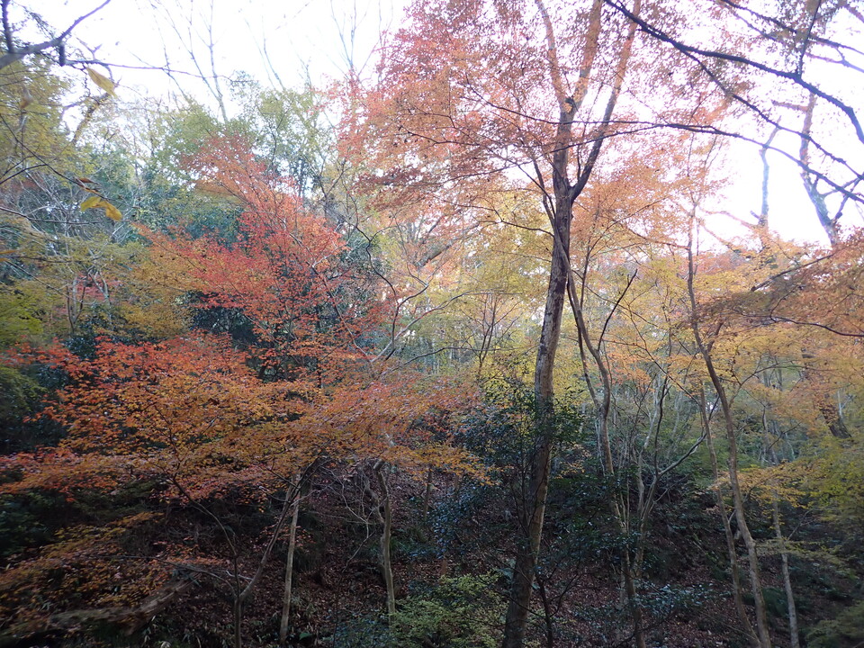 PC019285_mid.jpg