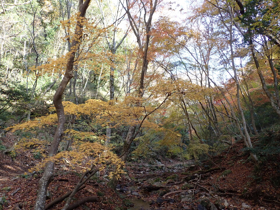 PC019288_mid.jpg