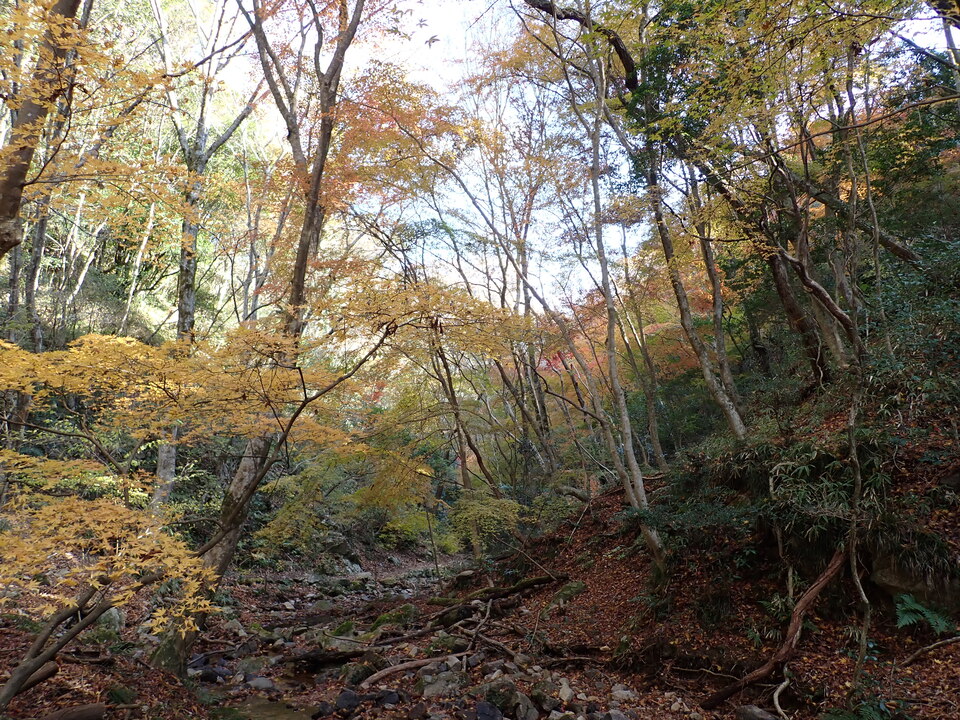 PC019289_mid.jpg