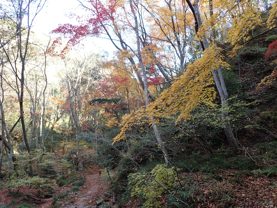 PC019296_mid.jpg
