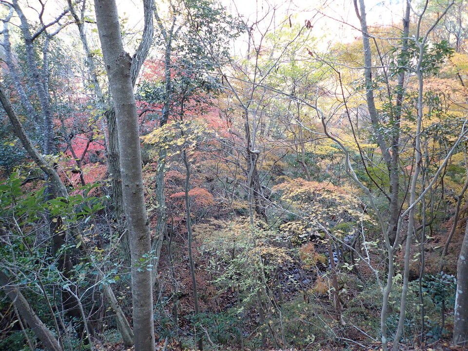 PC019306_mid.jpg