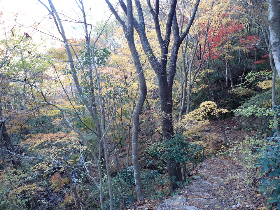 PC019307_mid.jpg