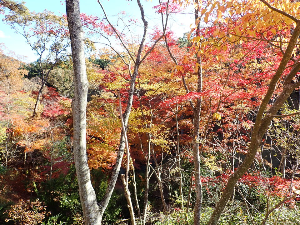 PC019346_mid.jpg