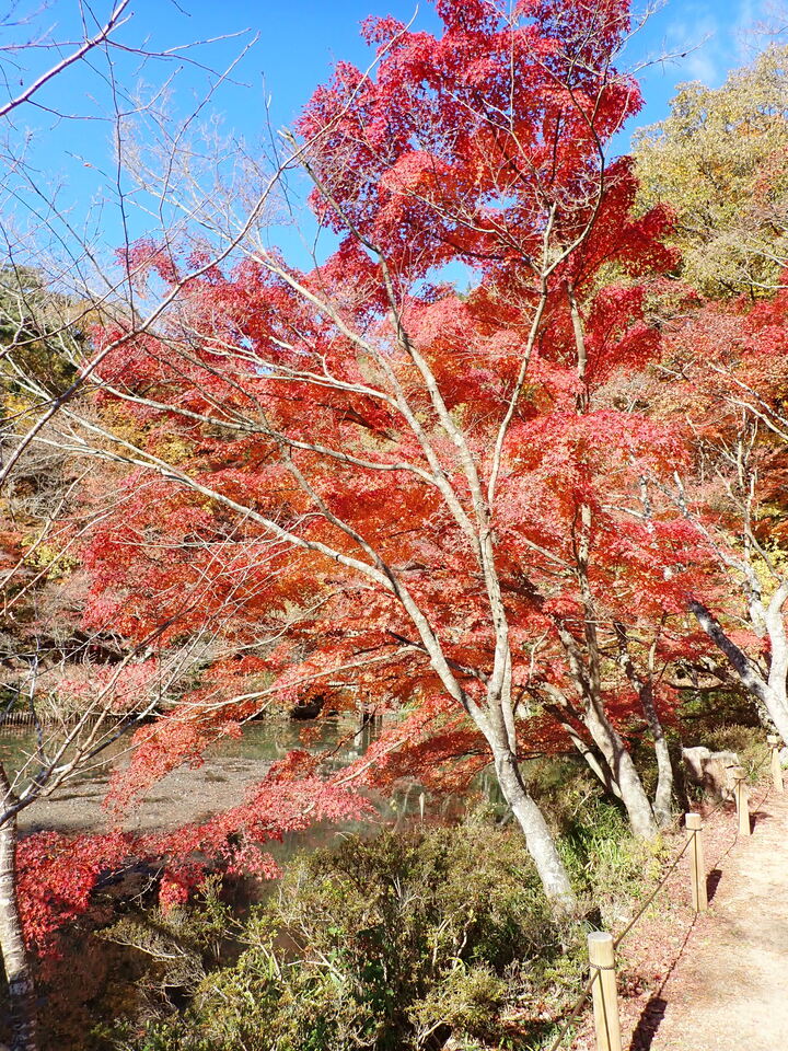 PC019347_mid.jpg