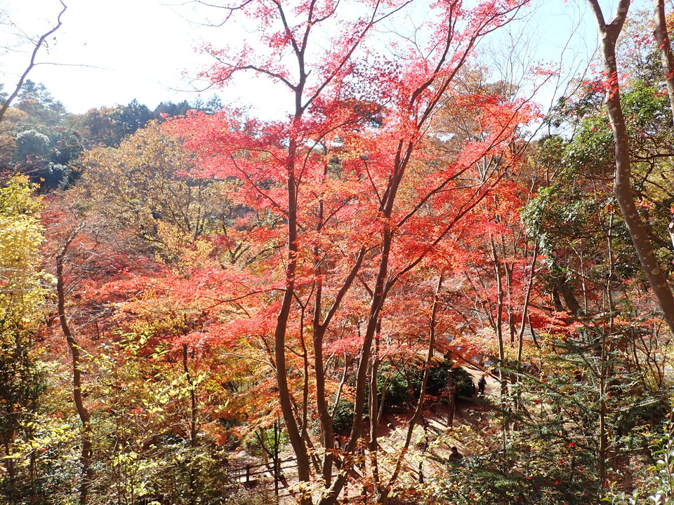 PC019359_mid.jpg