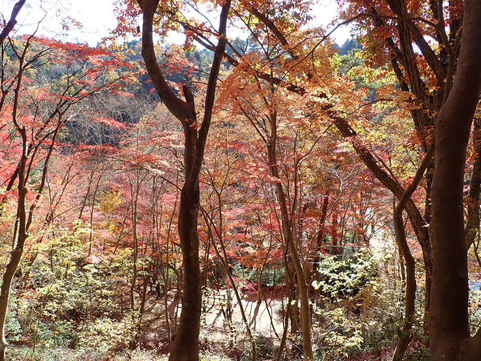 PC019368_mid.jpg