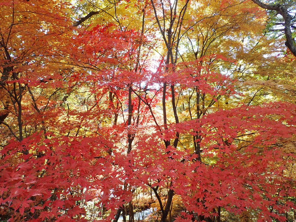 PC019396_mid.jpg
