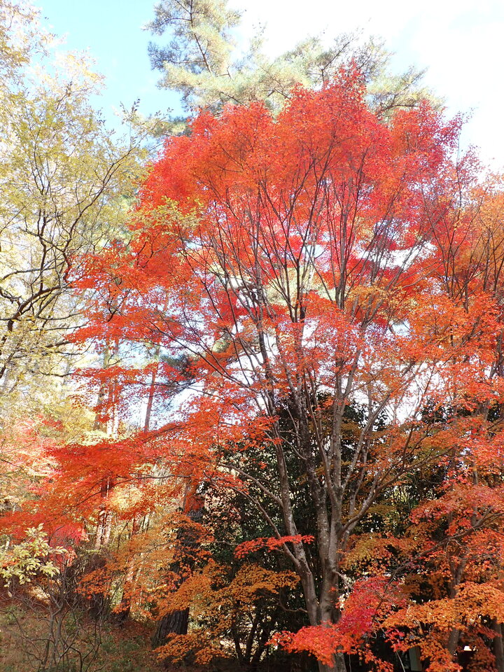 PC019428_mid.jpg