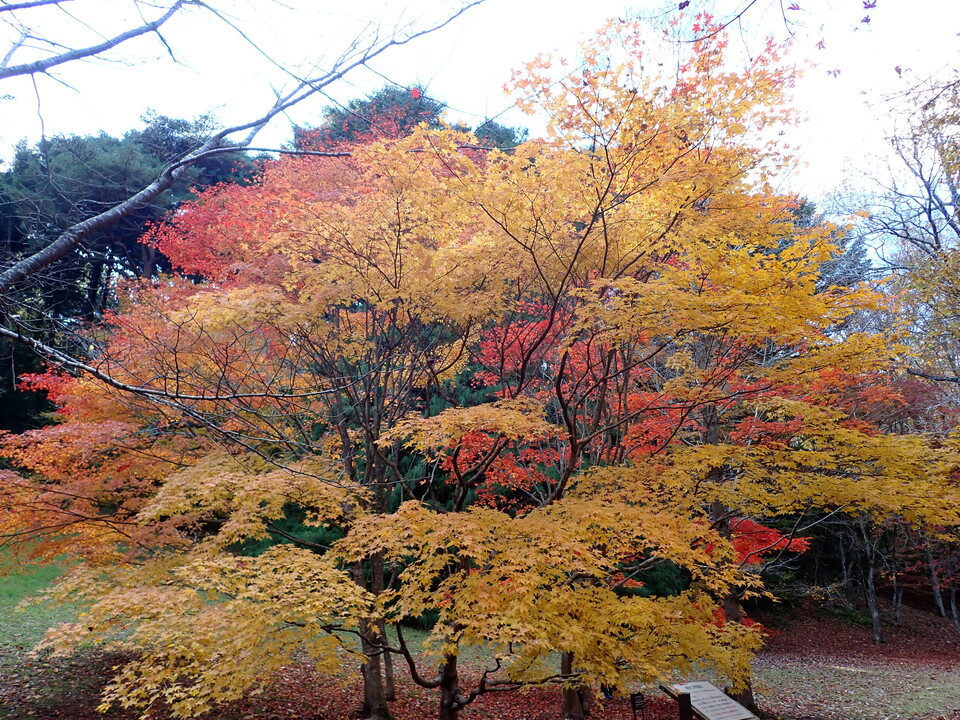 PC019430_mid.jpg